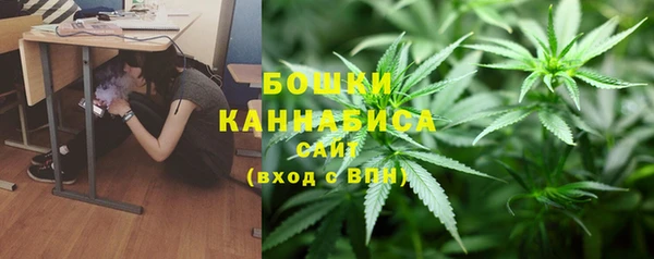 бошки Аркадак