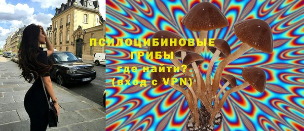 таблы Алзамай