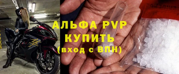 шишки Арсеньев