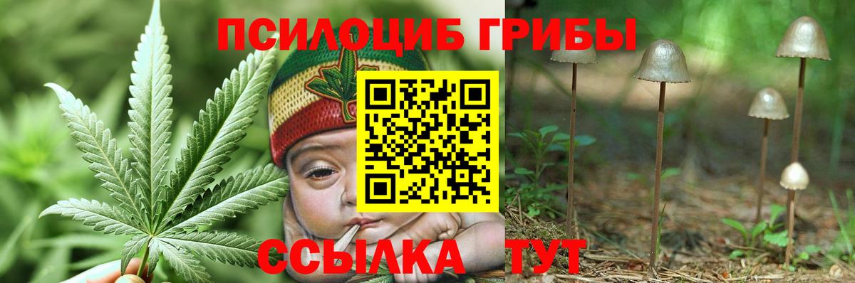магазин    Вход с VPN  Фролово  Псилоцибиновые грибы Psilocybine cubensis 